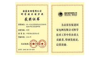 2018年度國家電網(wǎng)有限公司科學技術進步特等獎